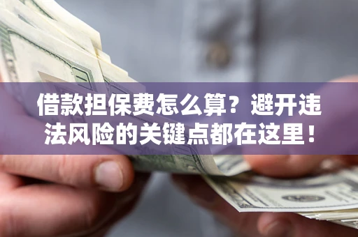 济南借款担保费怎么算？避开违法风险的关键点都在这里！