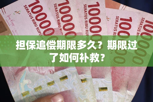 济南担保追偿期限多久？期限过了如何补救？
