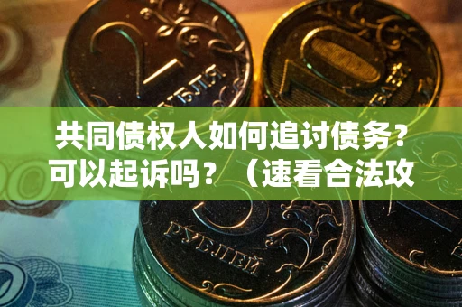 济南共同债权人如何追讨债务？可以起诉吗？（速看合法攻略）
